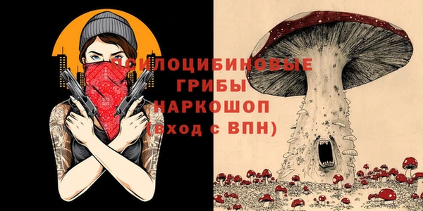 PSILOCYBIN Алексеевка