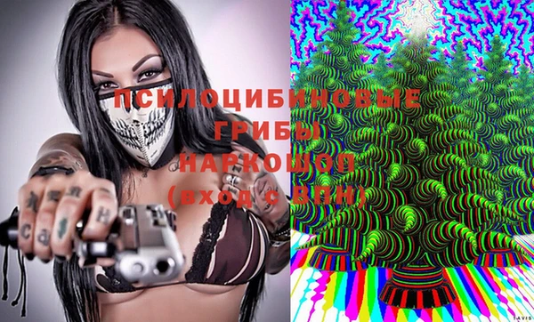 PSILOCYBIN Алексеевка